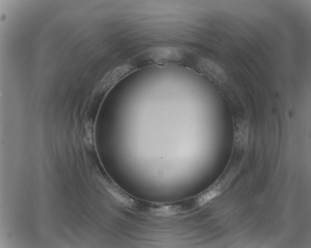 X0000062910430200601181224