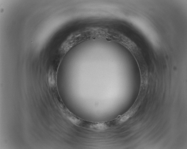 X0000062910431200601181224