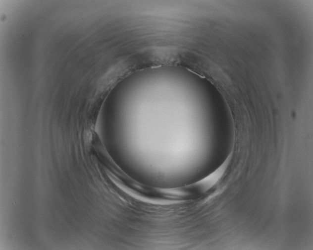 X0000062910432200601181224