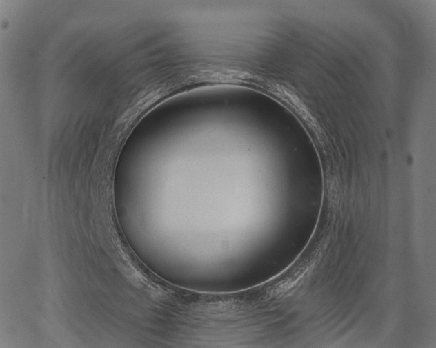 X0000062910433200601181223