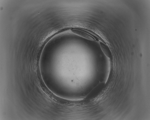 X0000062910434200601181223