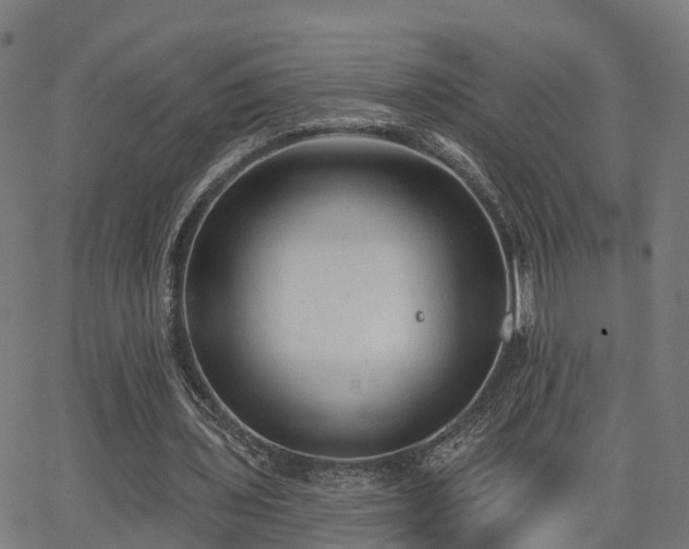 X0000062910435200601181223