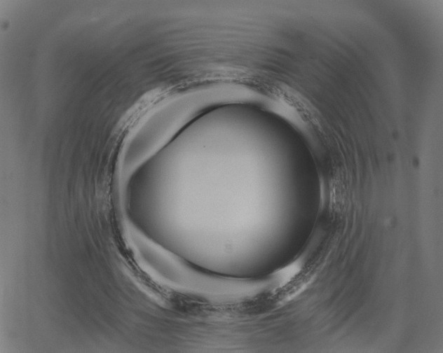 X0000062910436200601181223