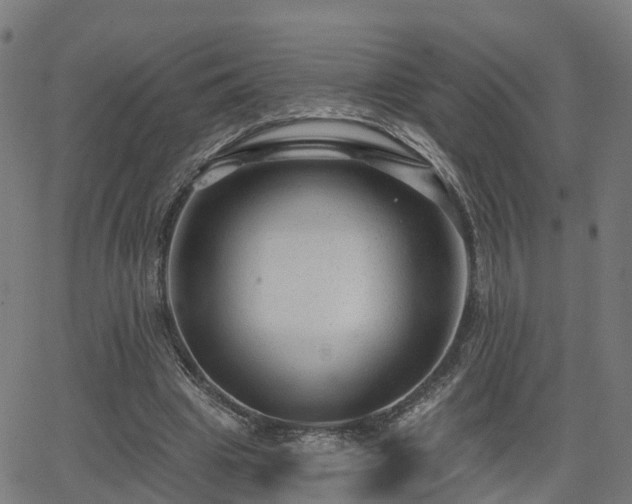 X0000062910441200601181223