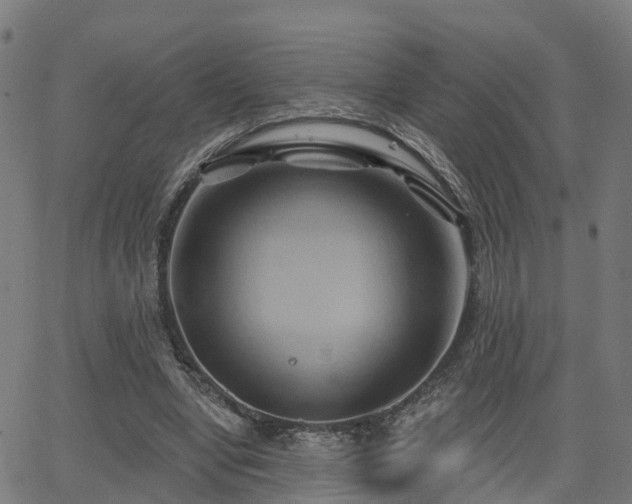 X0000062910442200601181223