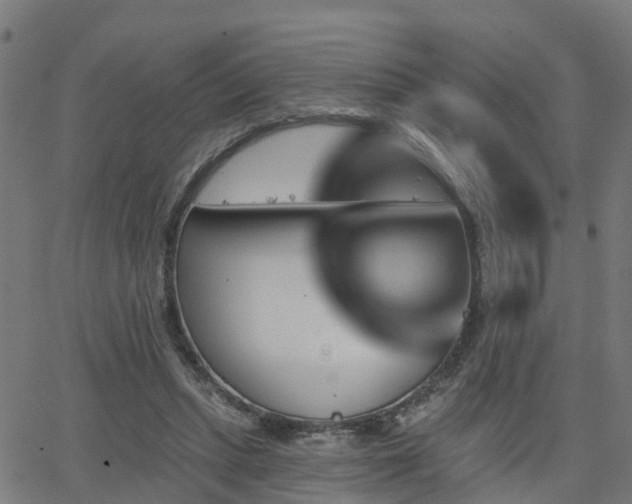 X0000062910447200601181223