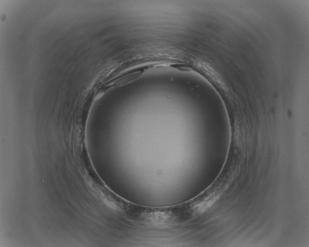 X0000062910449200601181223