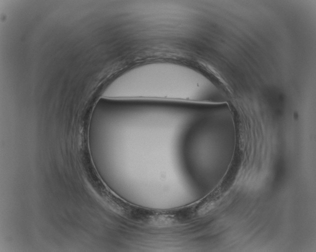 X0000062910451200601181223