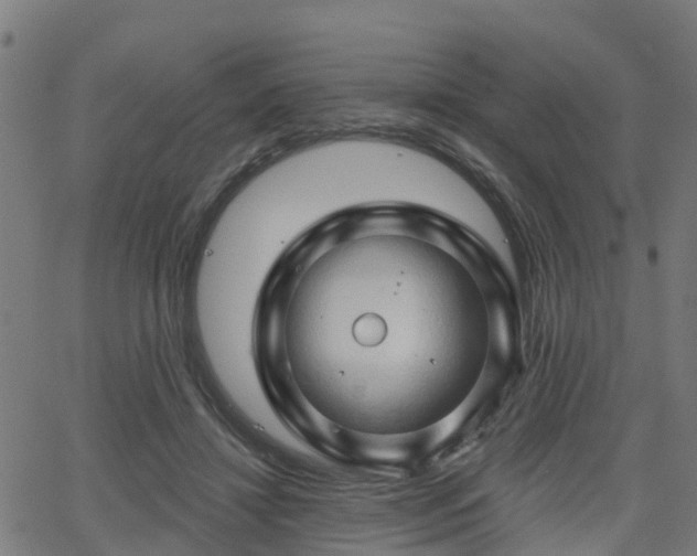 X0000062910452200601181223