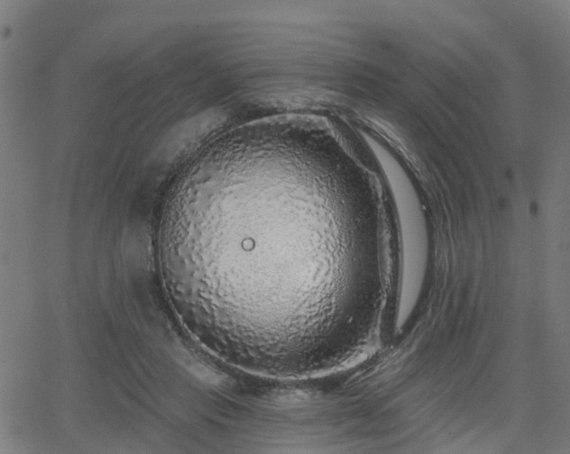 X0000062910453200601181223