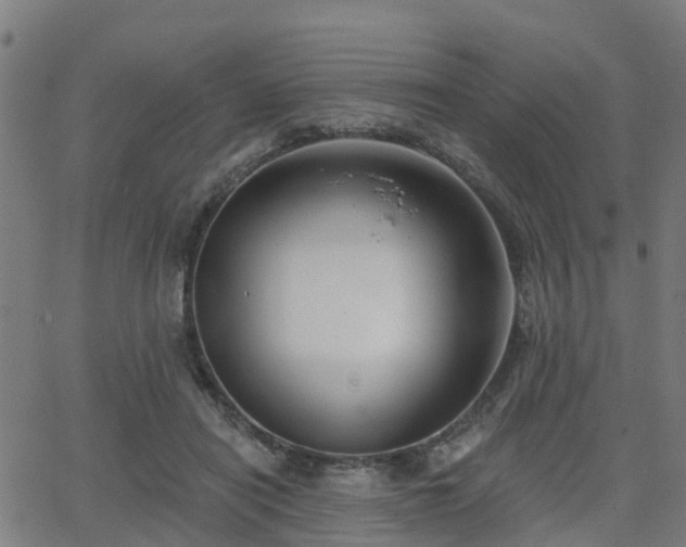 X0000062910454200601181223