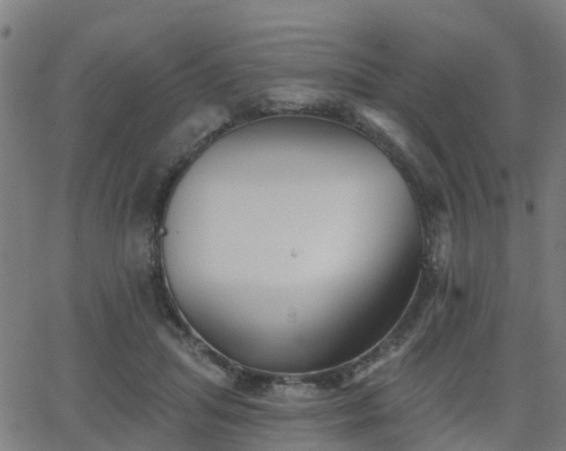 X0000062910455200601181223