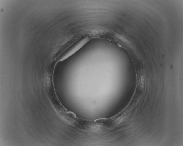 X0000062910456200601181223