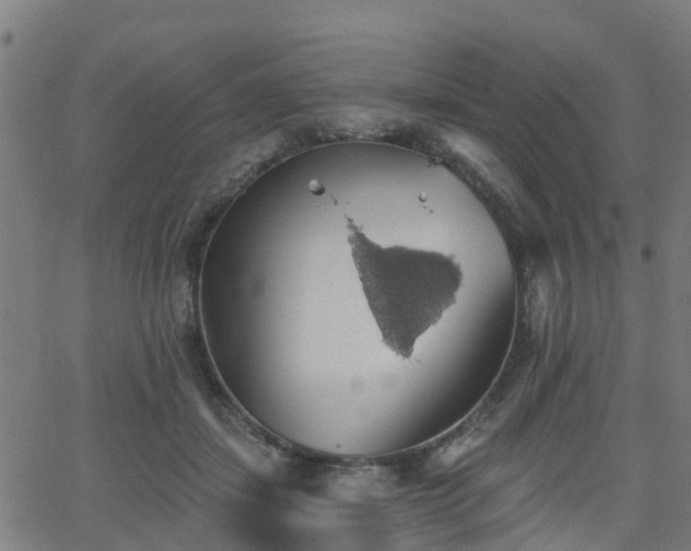 X0000062910459200601181223