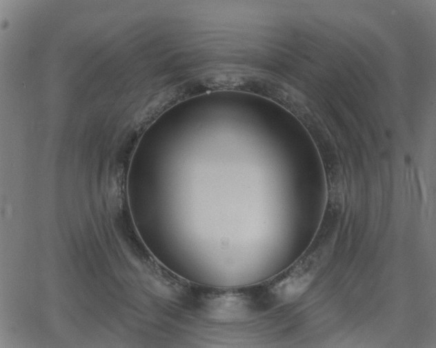 X0000062910460200601181224