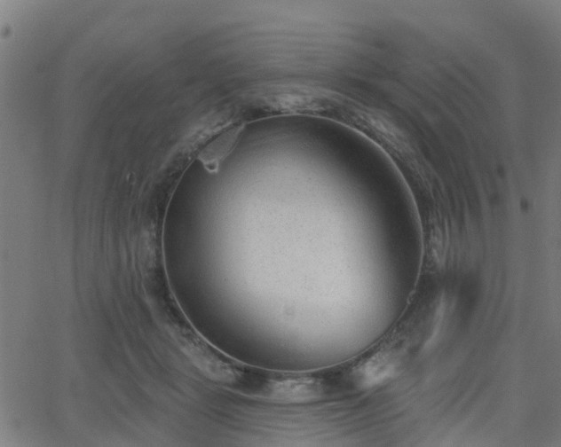 X0000062910461200601181224