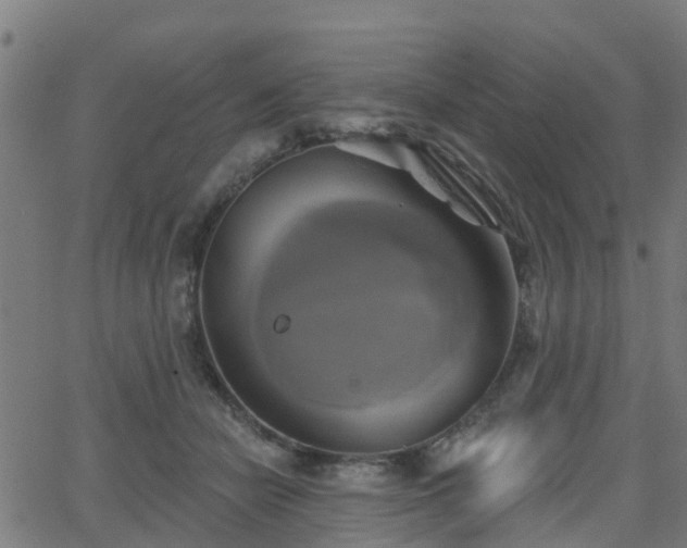 X0000062910462200601181224