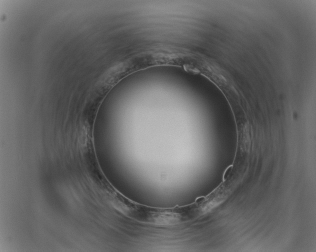 X0000062910463200601181224