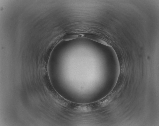 X0000062910464200601181224