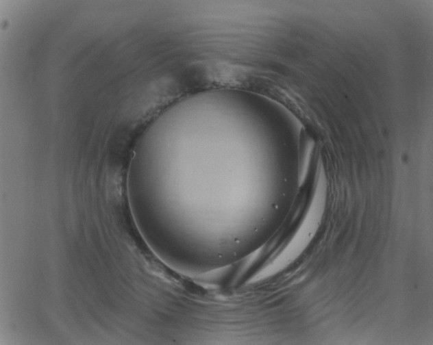 X0000062910466200601181224