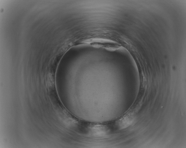 X0000062910467200601181224