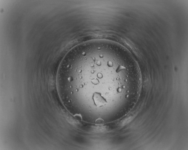 X0000062910469200601181224