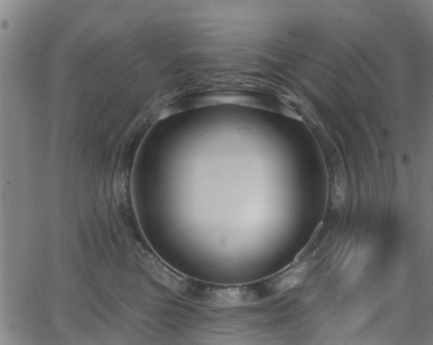 X0000062910473200601181224