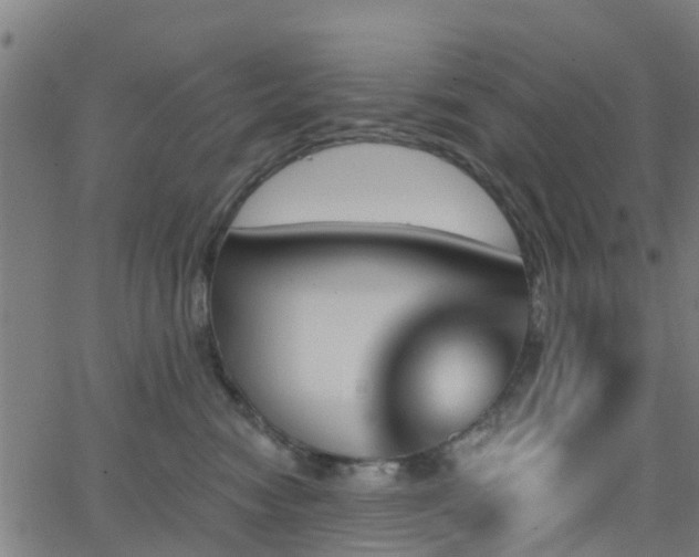 X0000062910474200601181224