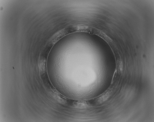 X0000062910475200601181224