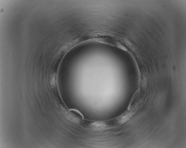 X0000062910477200601181224