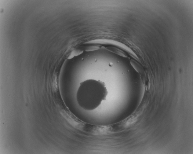 X0000062910479200601181224