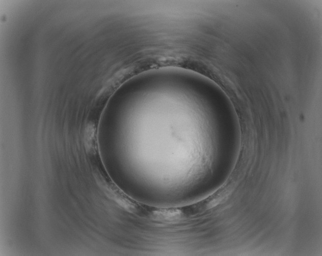 X0000062910480200601181224