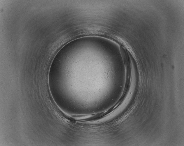 X0000062910481200601181223