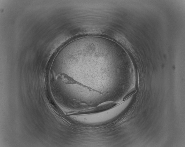 X0000062910483200601181223