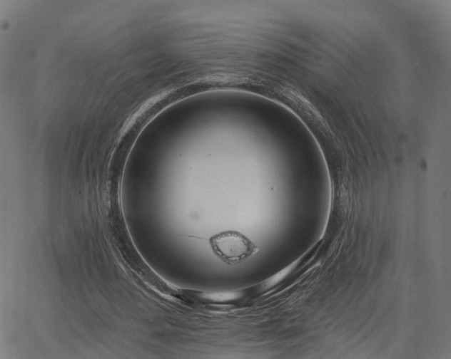 X0000062910484200601181223