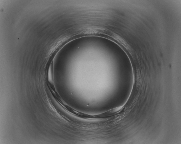 X0000062910485200601181223