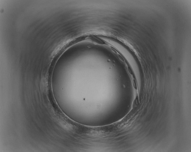 X0000062910487200601181223