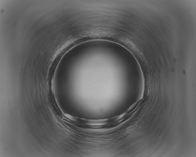 X0000062910488200601181223