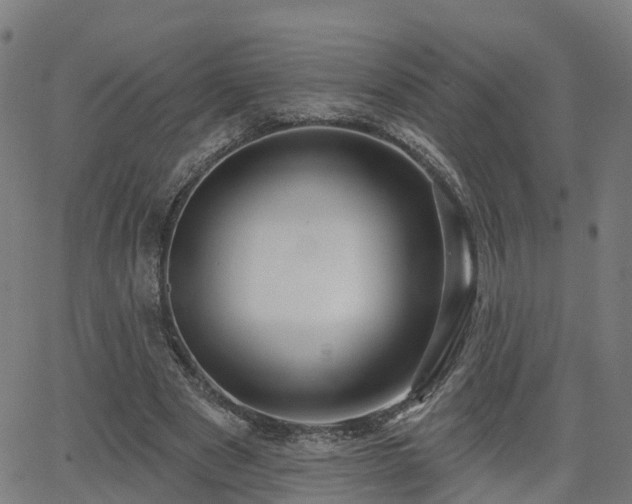 X0000062910489200601181223