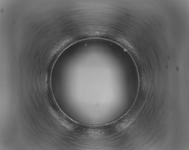 X0000062910490200601181223