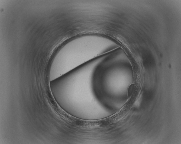 X0000062910491200601181223