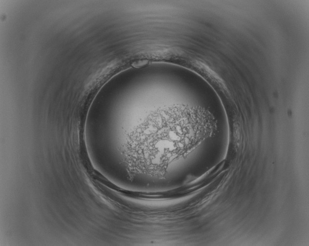 X0000062910493200601181223