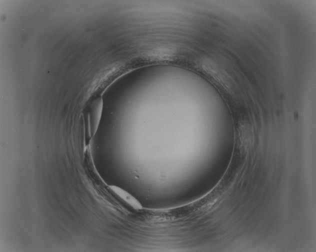 X0000062910494200601181223