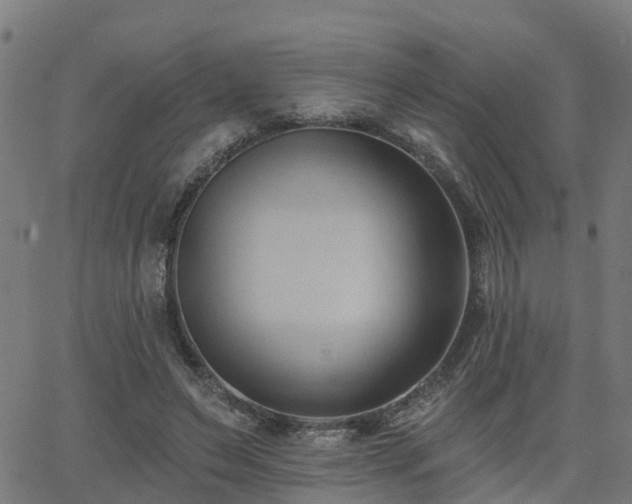 X0000062910495200601181223