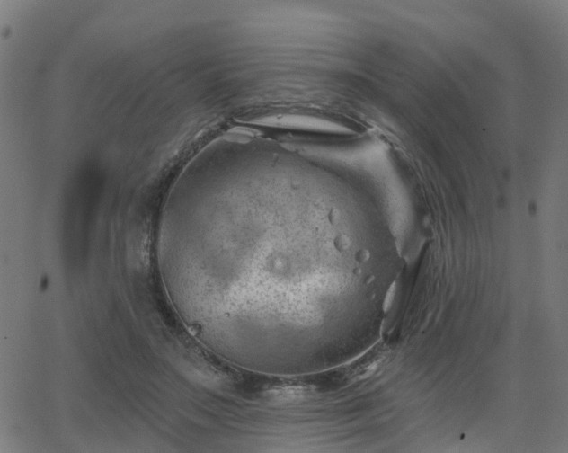 X0000062910499200601181223