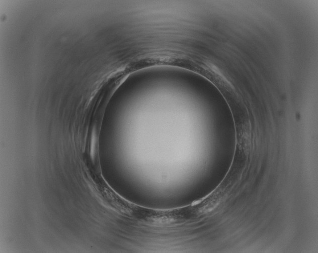 X0000062910500200601181223