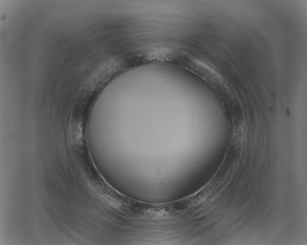 X0000062910502200601181223