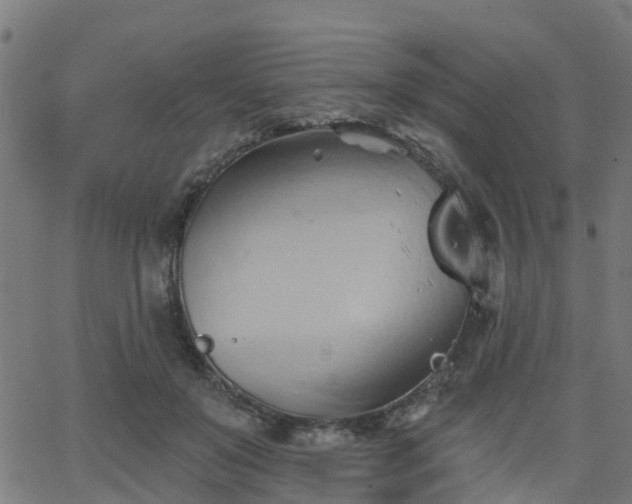 X0000062910503200601181223