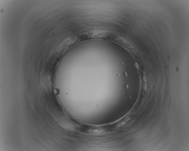 X0000062910506200601181223