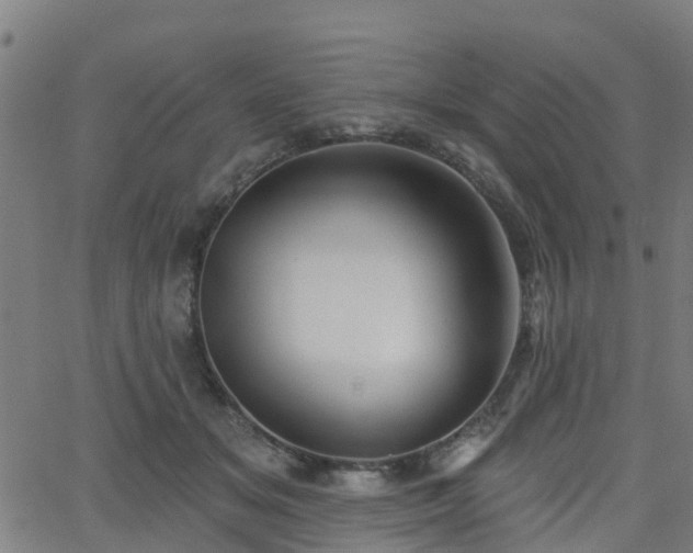 X0000062910509200601181223